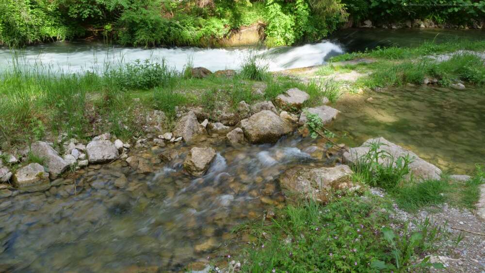 Dehler [Foto & Film]