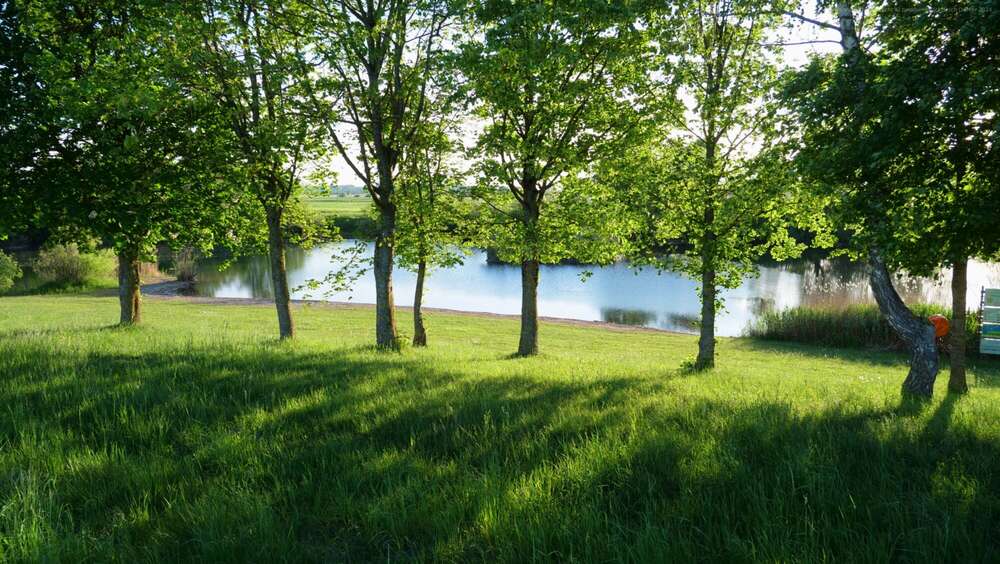 Dehler [Foto & Film] (Dehler [Foto & Film])