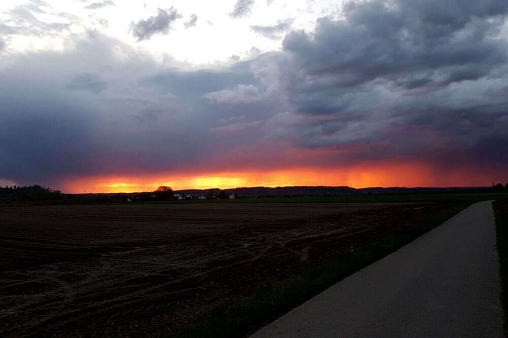 Dehler [Foto & Film]