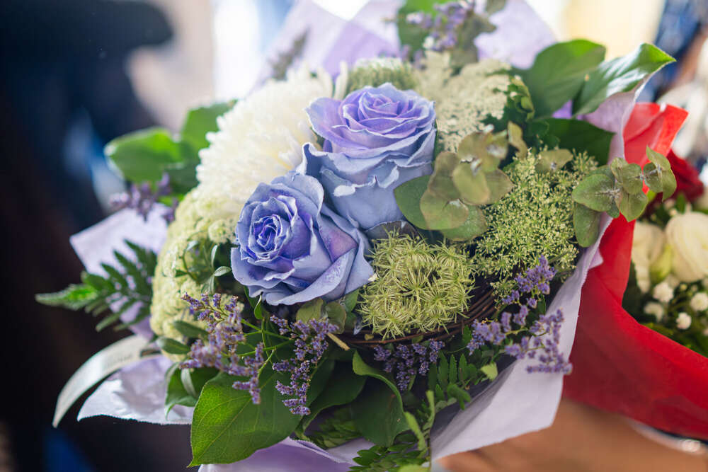 Renés Fotografie (Renés Fotografie)