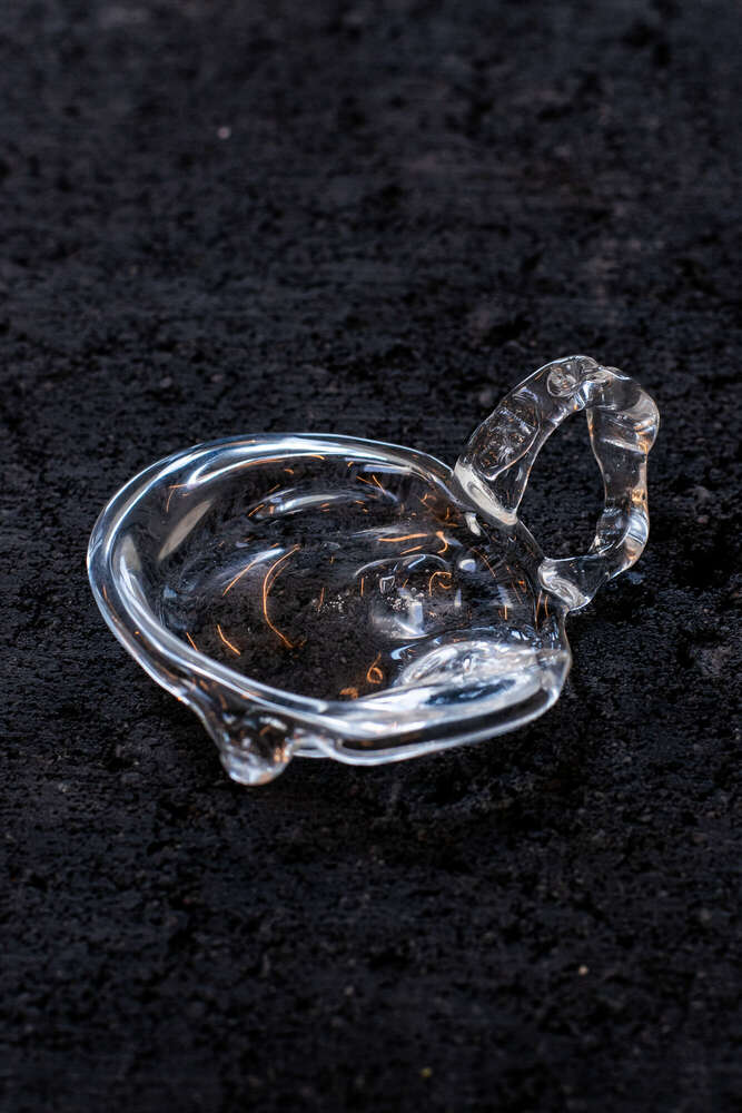 Xenia Coroian (Xenia Coroian)