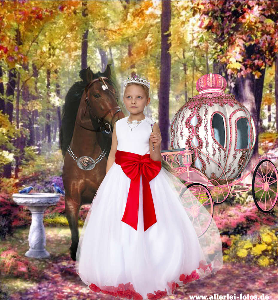 Allelei-fotos (Allelei-fotos)