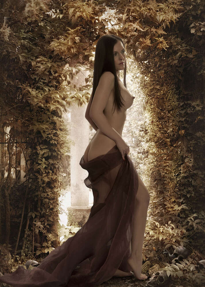 Allelei-fotos (Allelei-fotos)