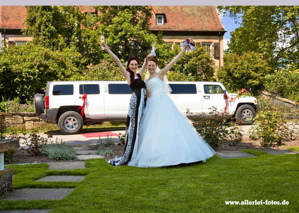 Allelei-fotos (Allelei-fotos)