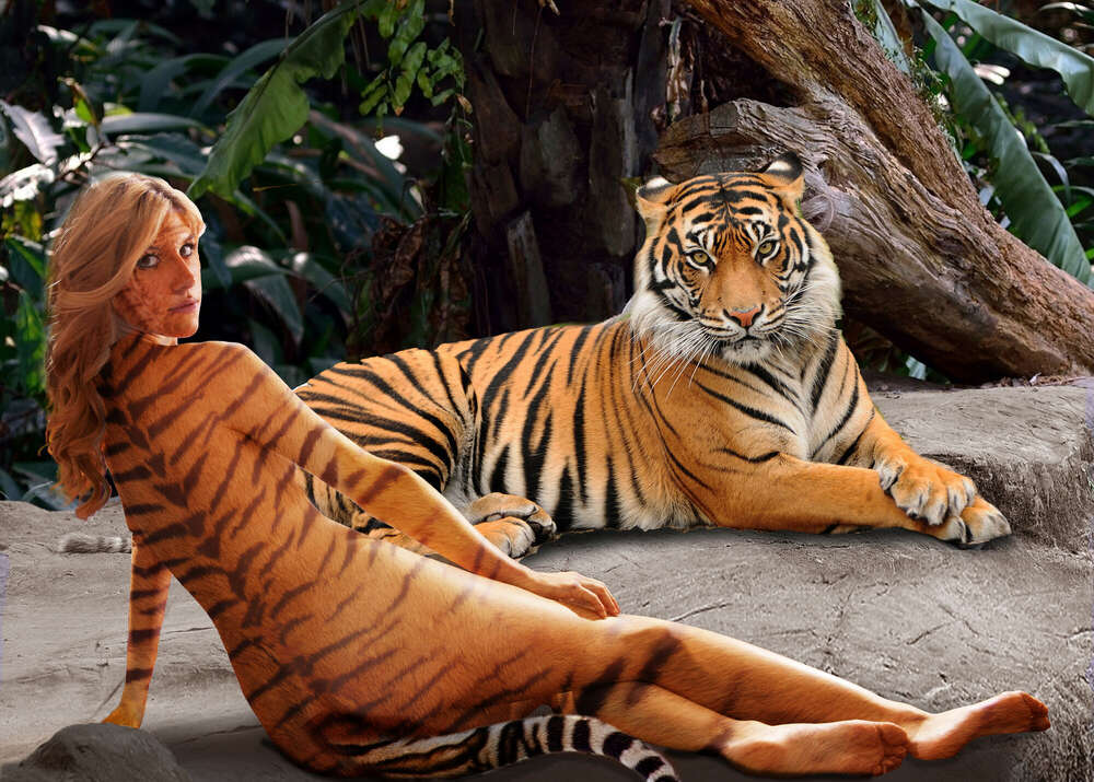 Allelei-fotos (Allelei-fotos)