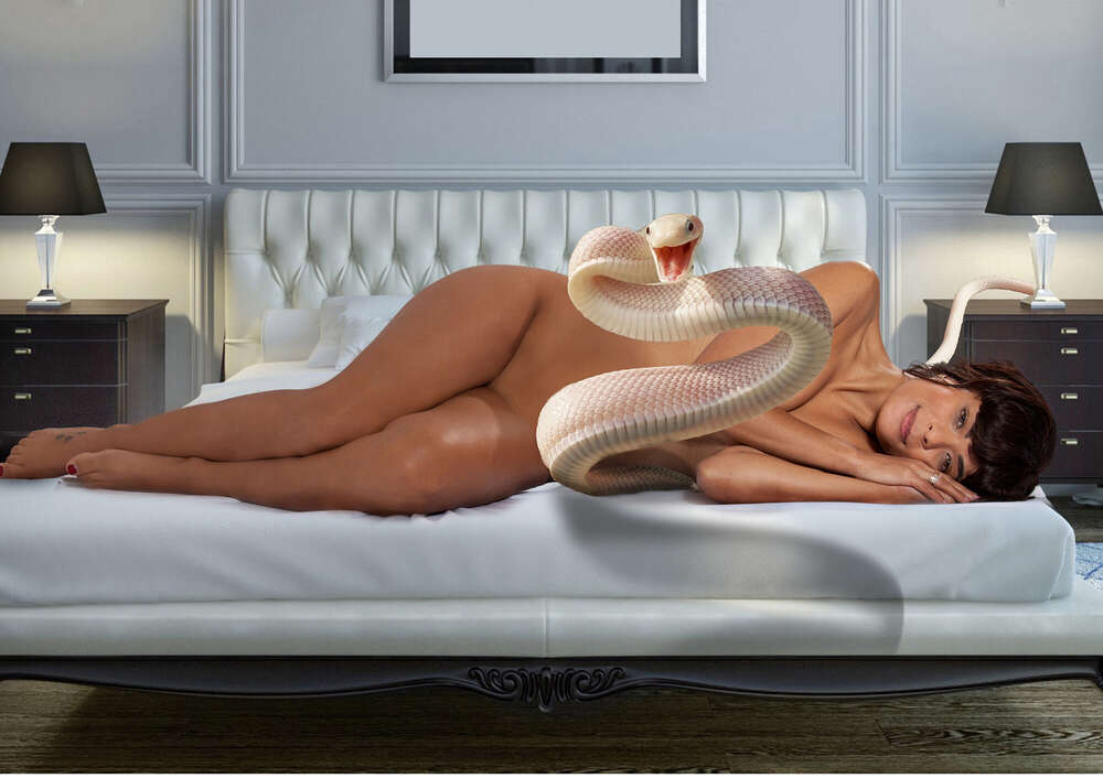 Allelei-fotos (Allelei-fotos)