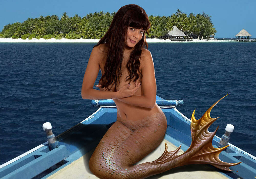 Allelei-fotos (Allelei-fotos)