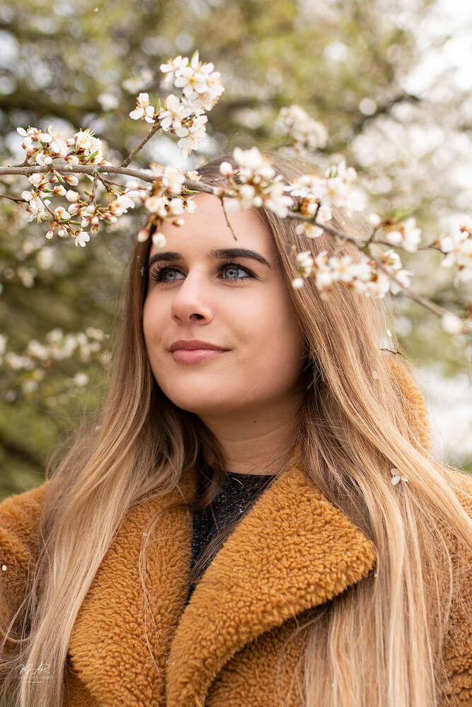 MAR Design & Photography (MAR Design & Photography)