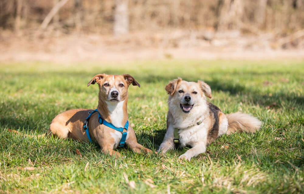 MAR Design & Photography (MAR Design & Photography)