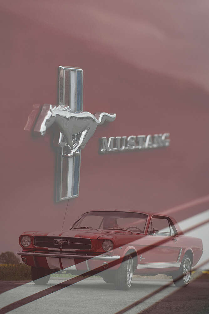 Pia Gayk Photography