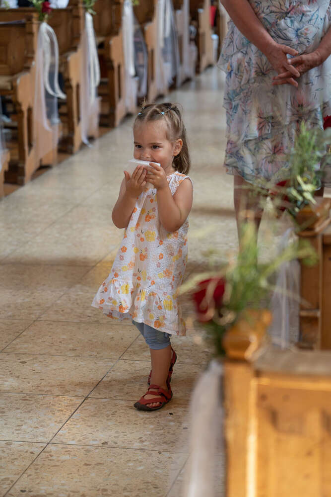 Foto Mechnig (Foto Mechnig)