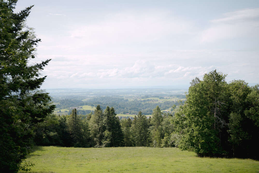 Martina Eggenberger Fotografie (Martina Eggenberger Fotografie)
