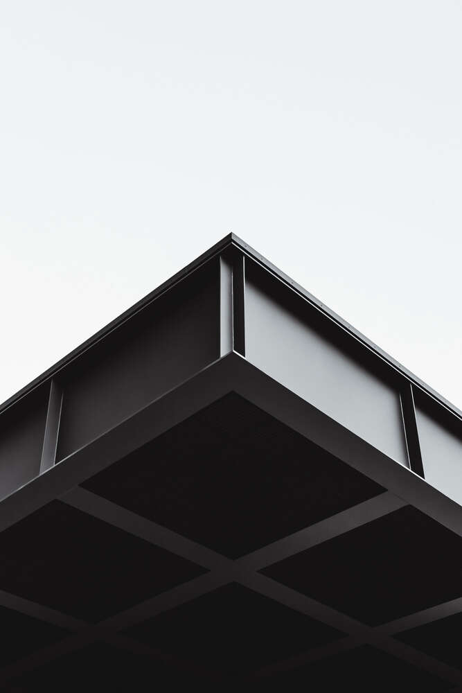 Nikita Pishchugin (Nikita Pishchugin)