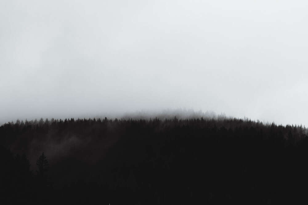 Nikita Pishchugin (Nikita Pishchugin)