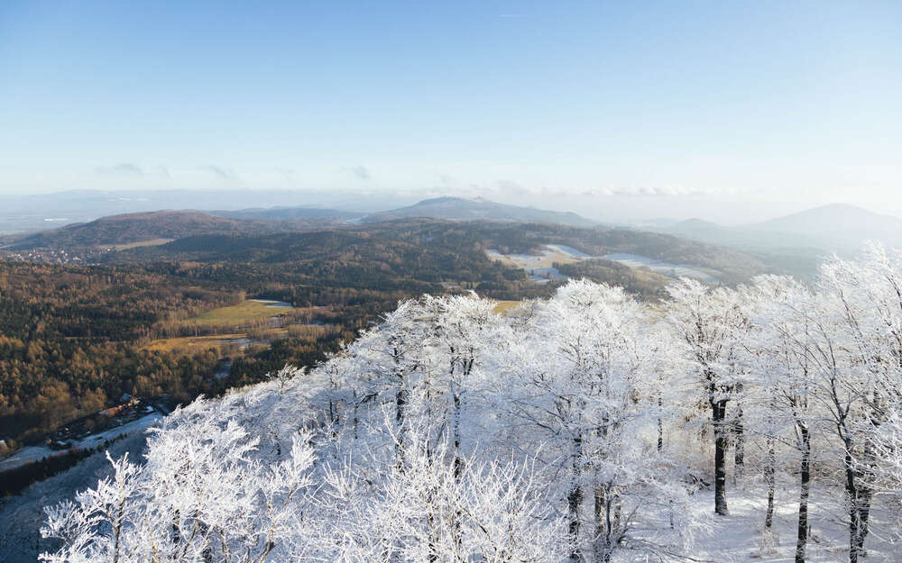 Nikita Pishchugin (Nikita Pishchugin)