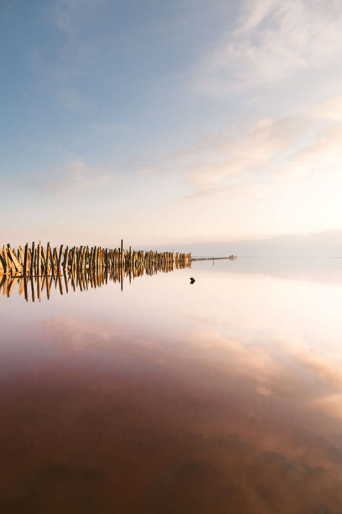 Nikita Pishchugin (Nikita Pishchugin)