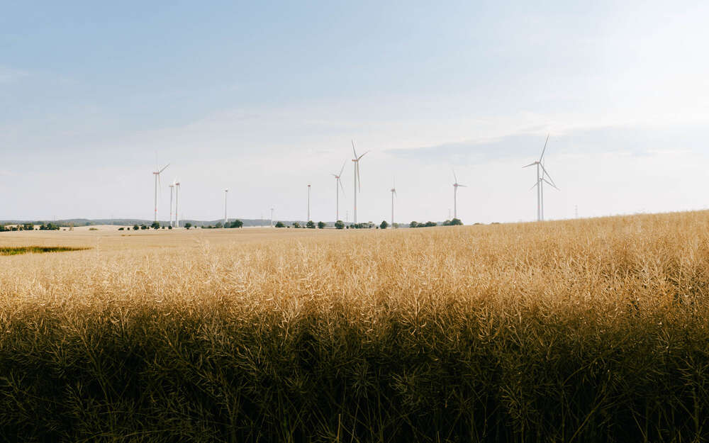 Nikita Pishchugin (Nikita Pishchugin)