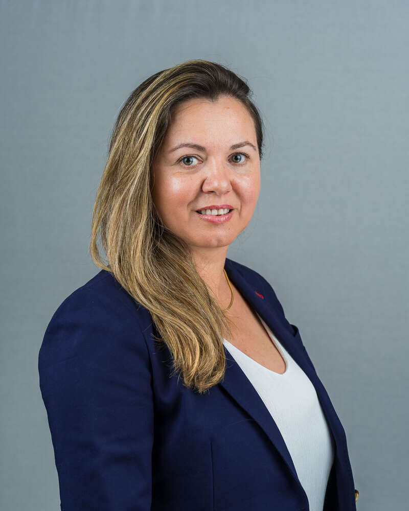 Anel FOTOART (Anel FOTOART)