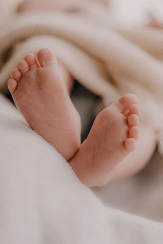 Melanie  Gerisch  (Melanie  Gerisch )