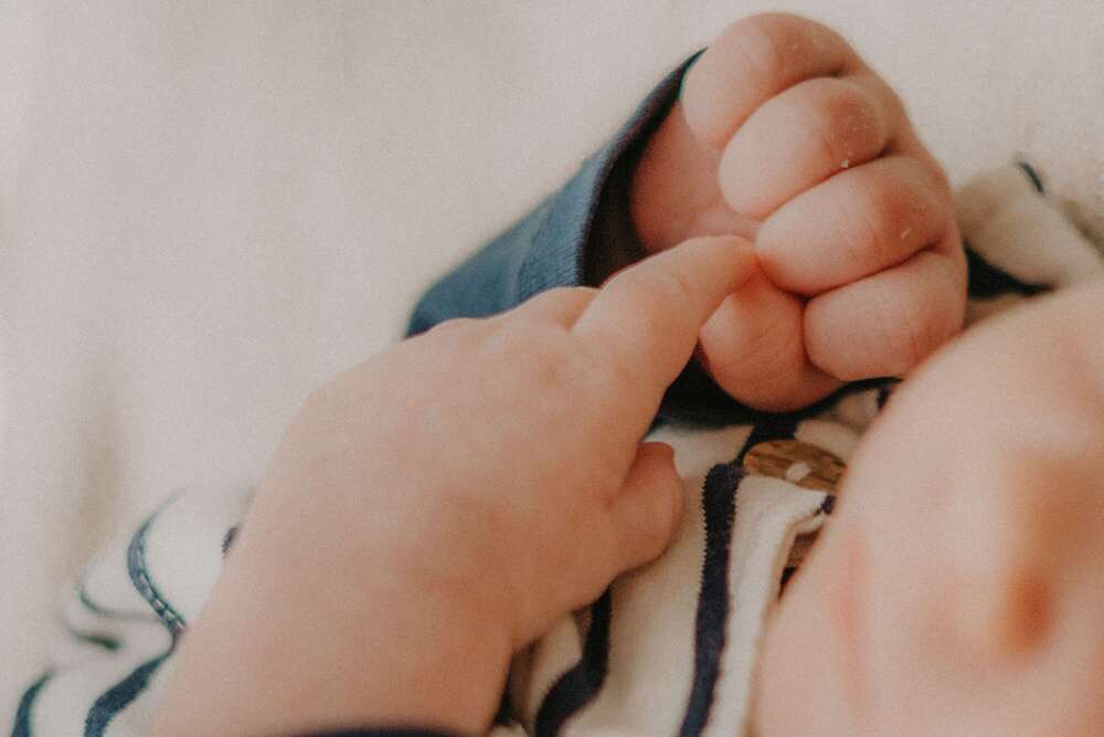 Melanie  Gerisch  (Melanie  Gerisch )