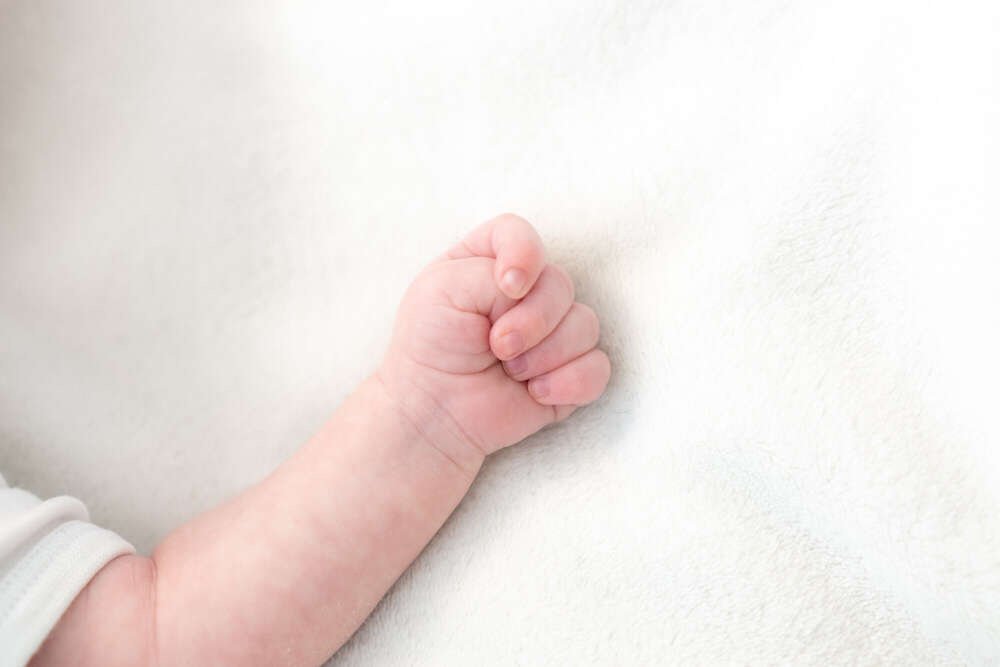 Michele Kochs Fotografie