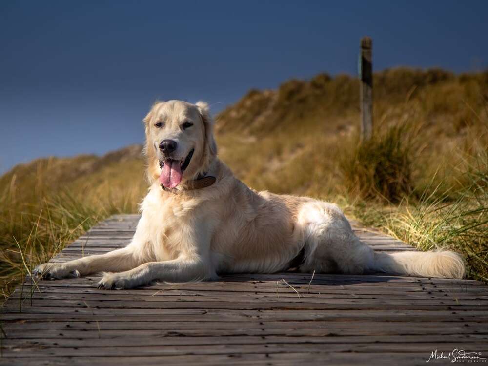 Sondermann Photography