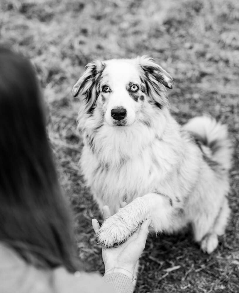 MUTgelaunt Fotografie (MUTgelaunt Fotografie)