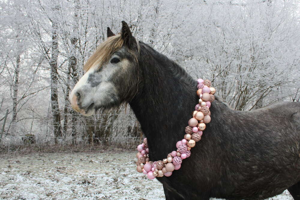 Carolin Bichlmaier (Carolin Bichlmaier)