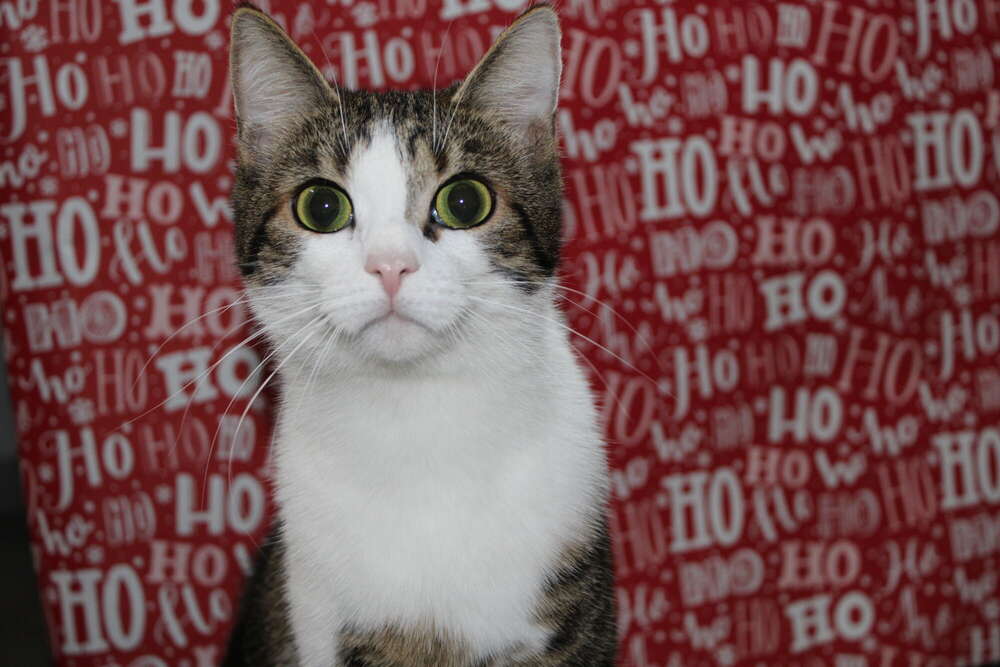 Carolin Bichlmaier (Carolin Bichlmaier)