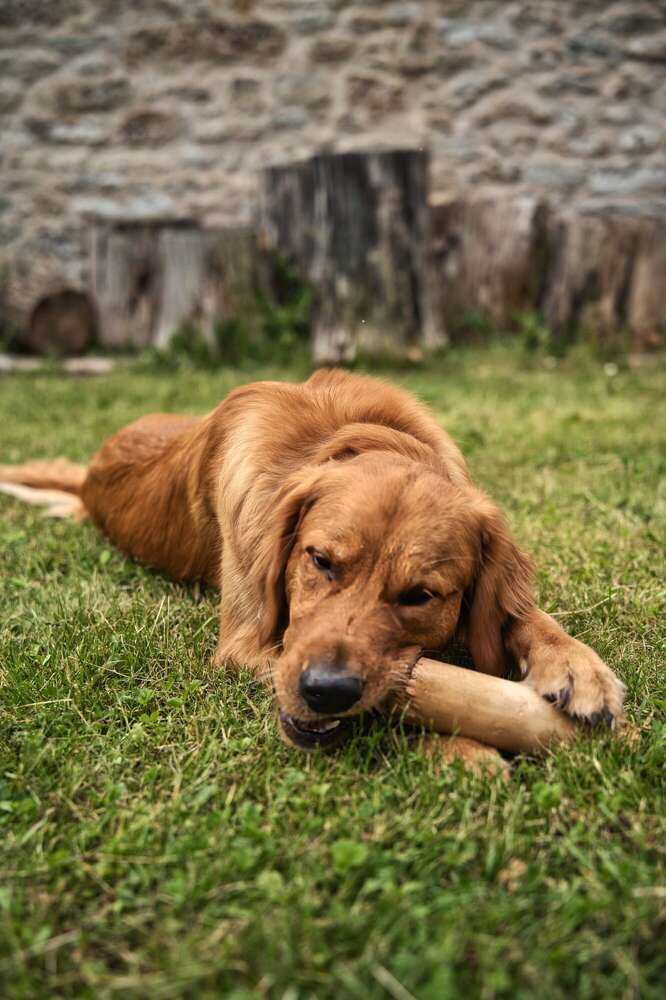 Sandro Rauch (Sandro Rauch)