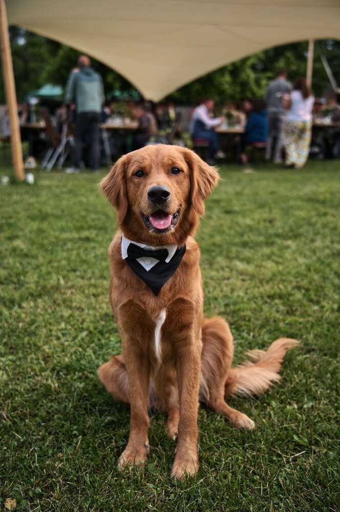 Sandro Rauch (Sandro Rauch)