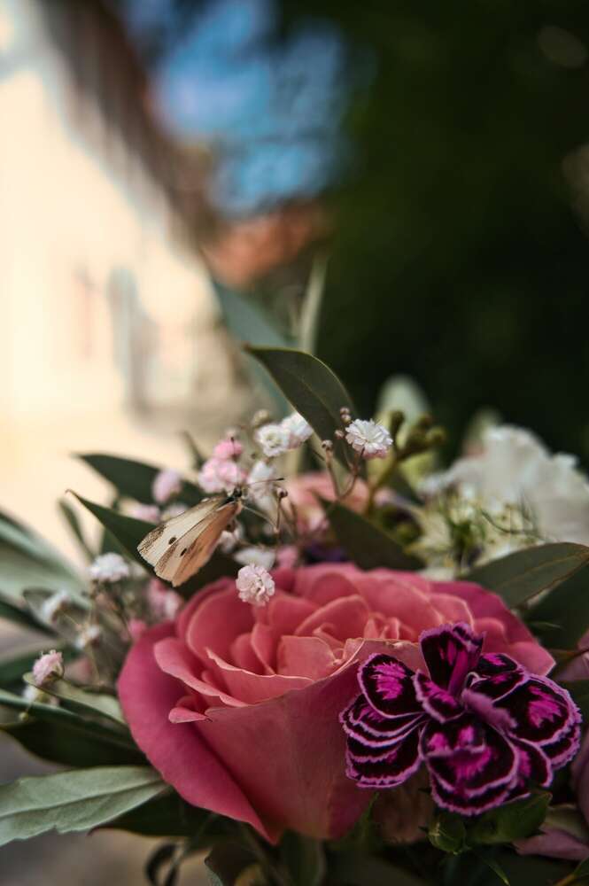 Sandro Rauch (Sandro Rauch)