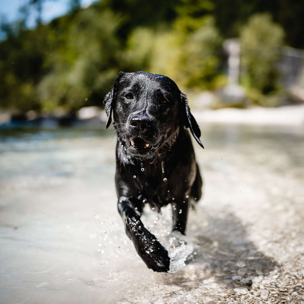 Moment Fotografie Daniel Kaufmann (Moment Fotografie Daniel Kaufmann)