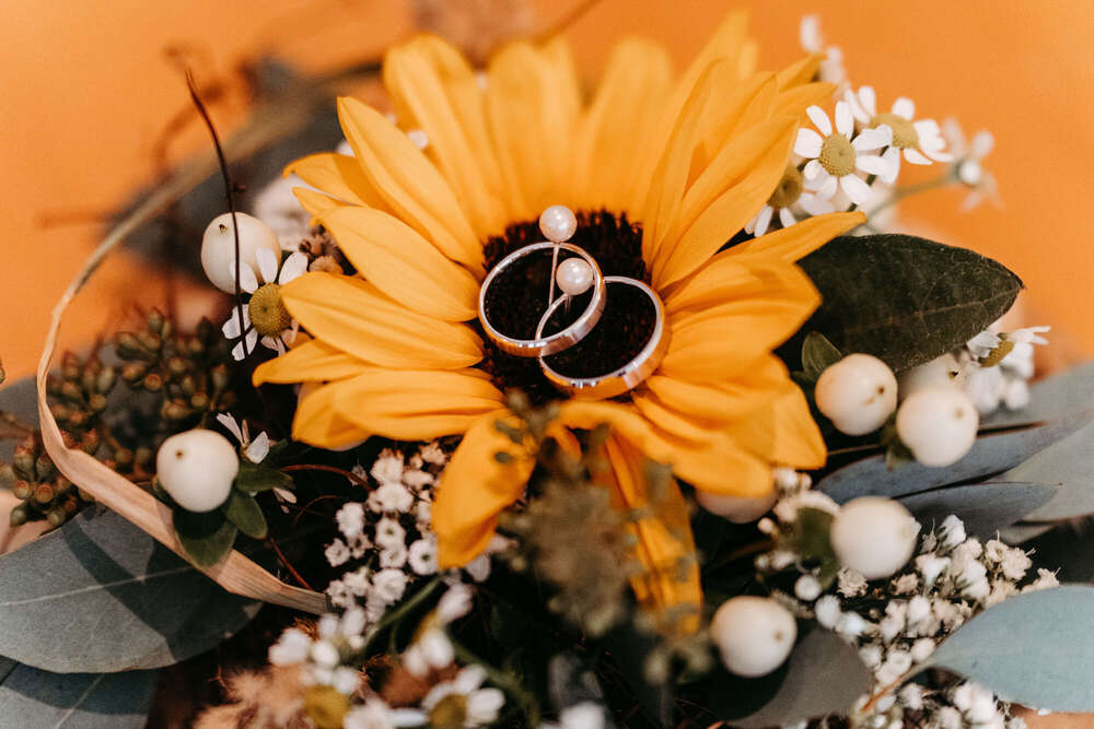 Moment Fotografie Daniel Kaufmann (Moment Fotografie Daniel Kaufmann)