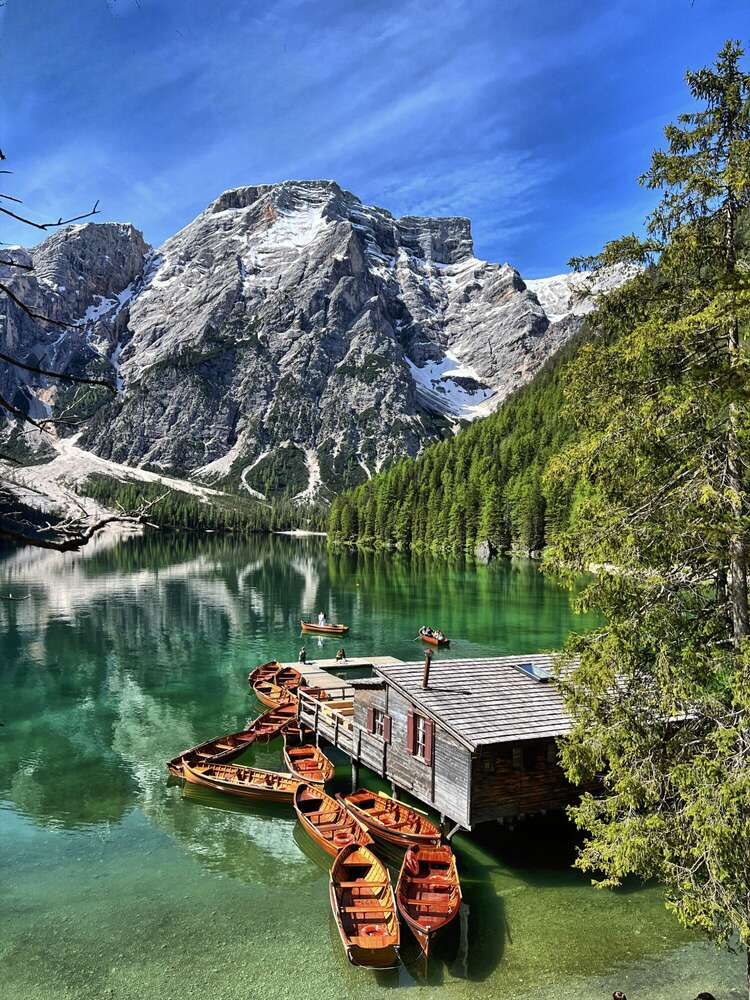 Alina Fix (Alina Fix)