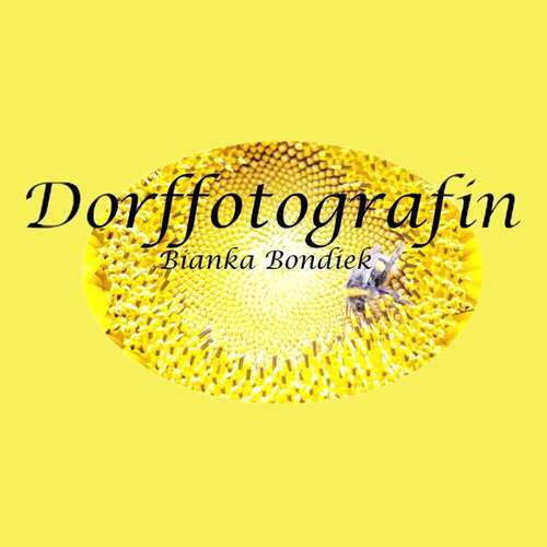 Bianka Bondiek aus Berkenthin