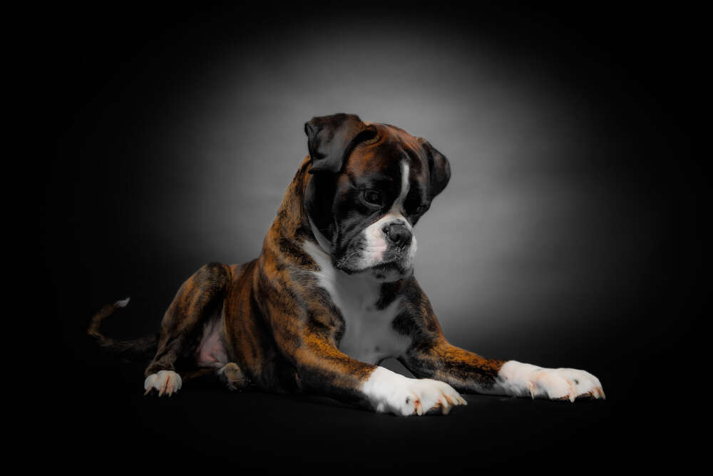 JB Marketing (JB Marketing)