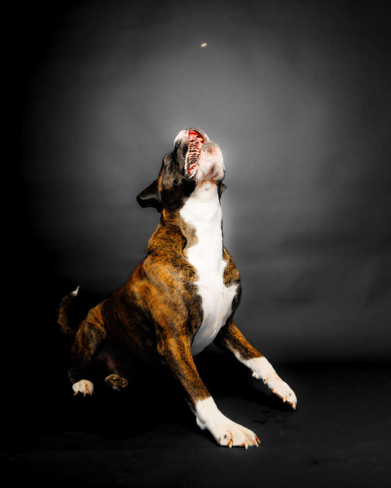 JB Marketing (JB Marketing)