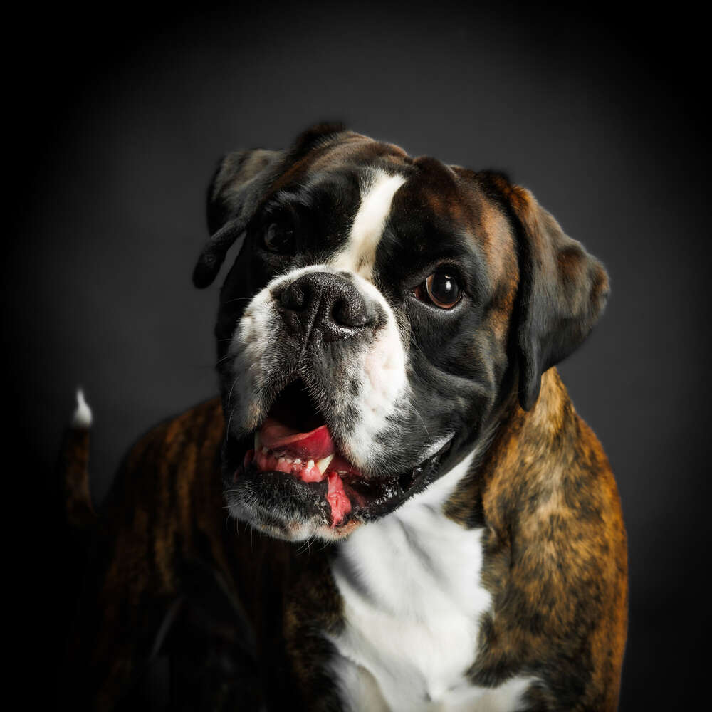 JB Marketing (JB Marketing)