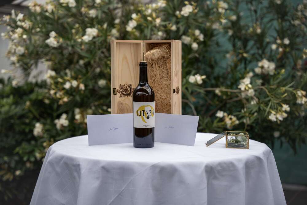 Natascha Schneider (Natascha Schneider)