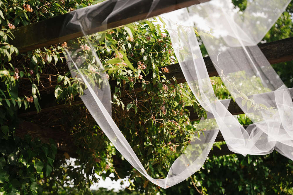 Natascha Schneider (Natascha Schneider)