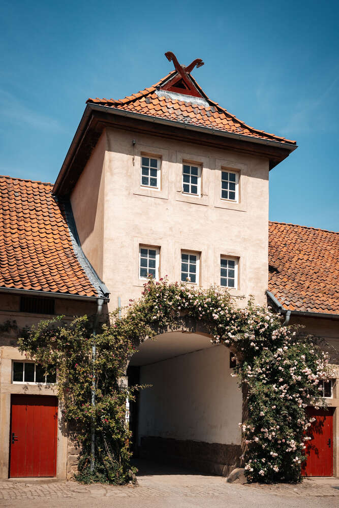 Natascha Schneider (Natascha Schneider)