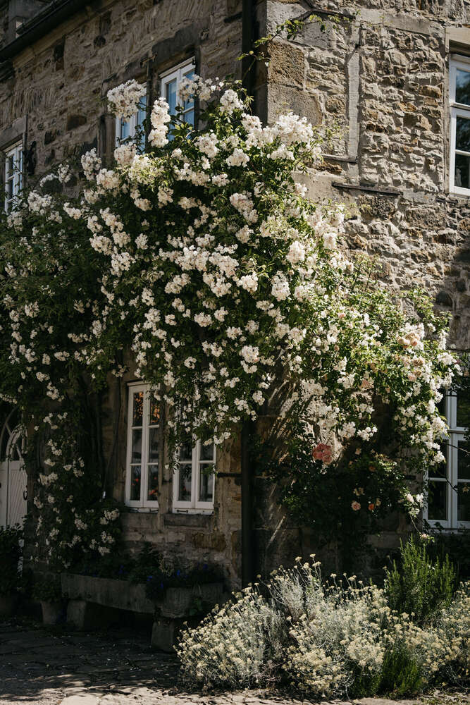 Natascha Schneider (Natascha Schneider)