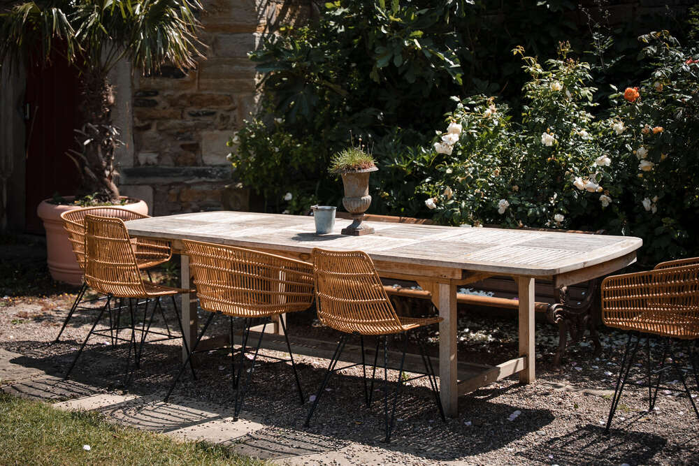 Natascha Schneider (Natascha Schneider)