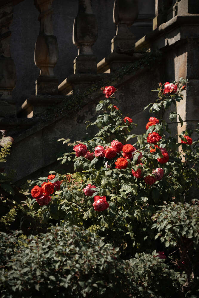 Natascha Schneider (Natascha Schneider)