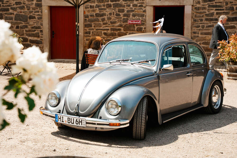 Natascha Schneider (Natascha Schneider)