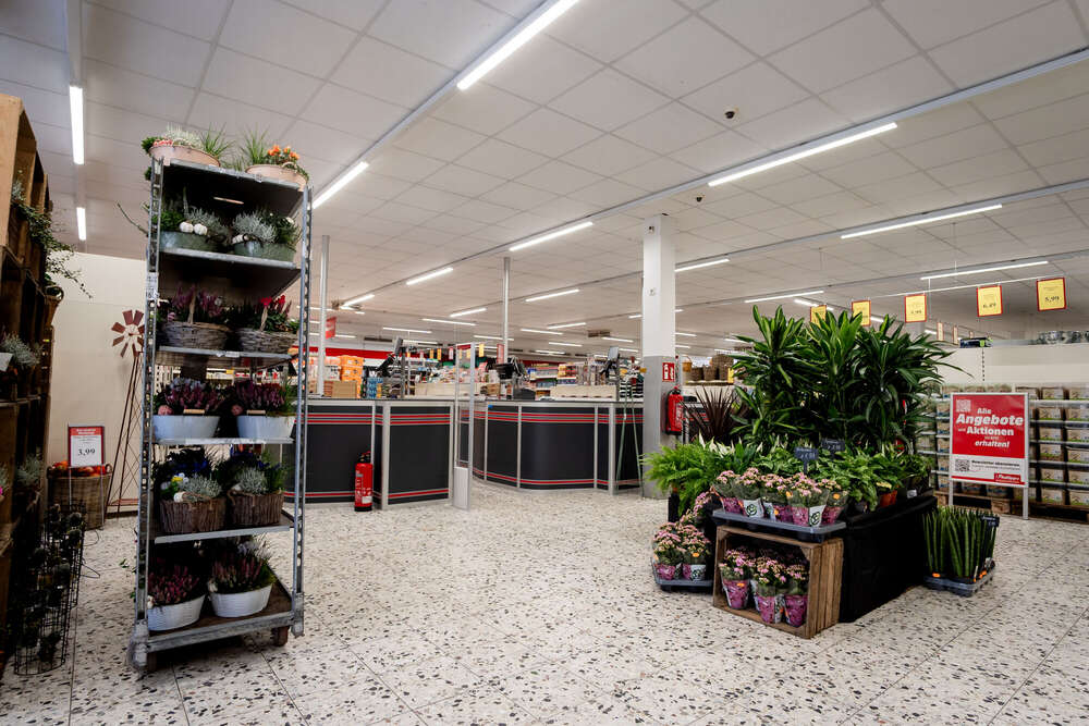 Natascha Schneider (Natascha Schneider)