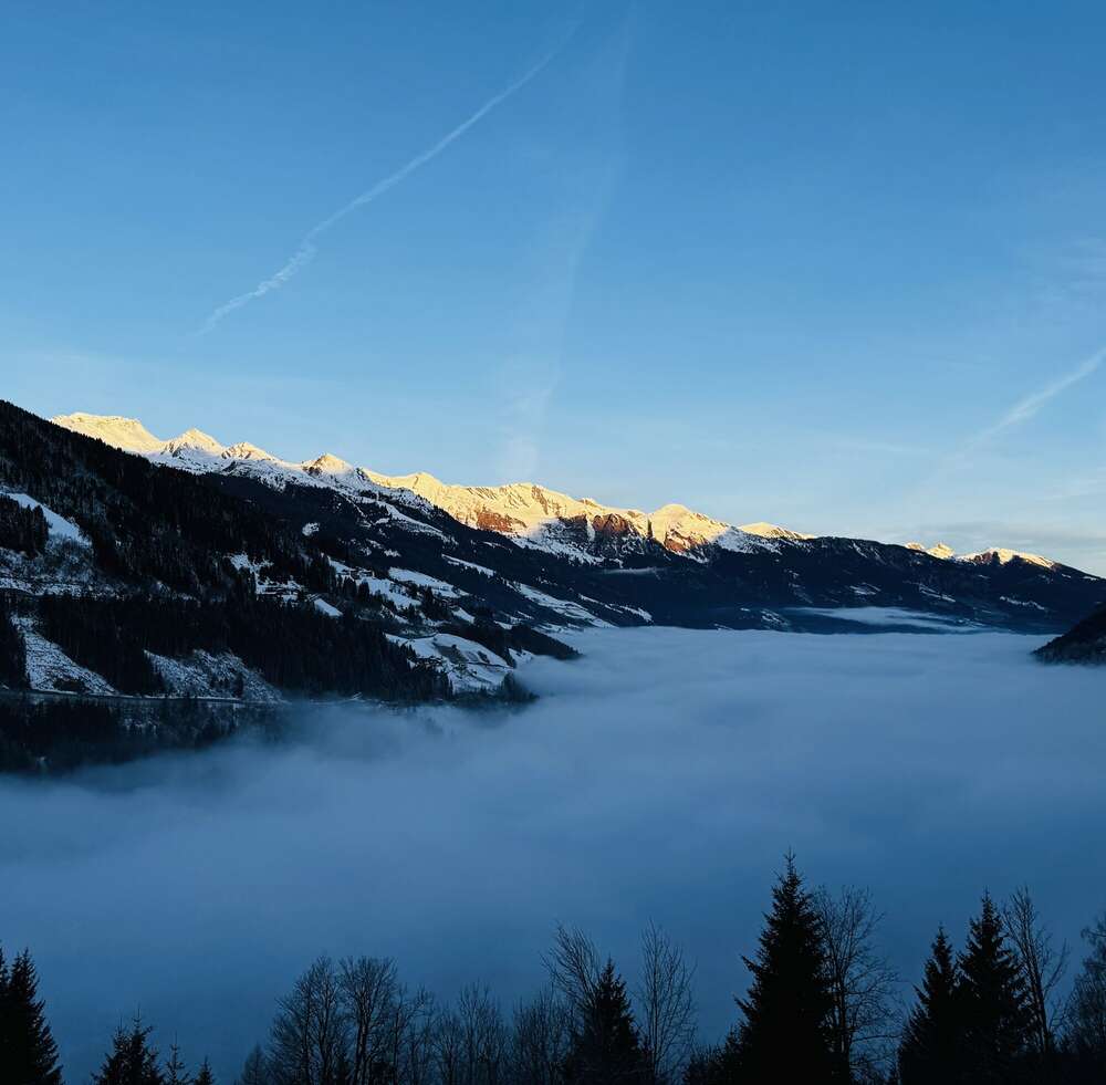 Thomas Hartmann (Thomas Hartmann)