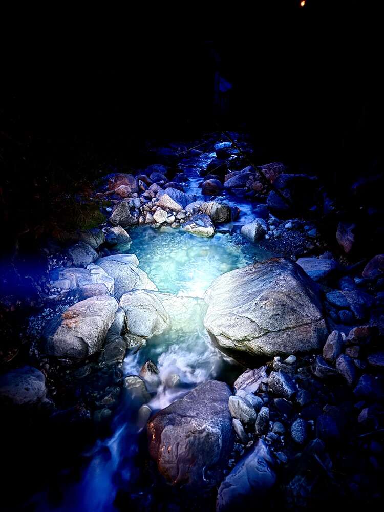 Thomas Hartmann (Thomas Hartmann)