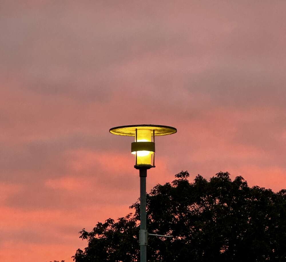 Thomas Hartmann (Thomas Hartmann)